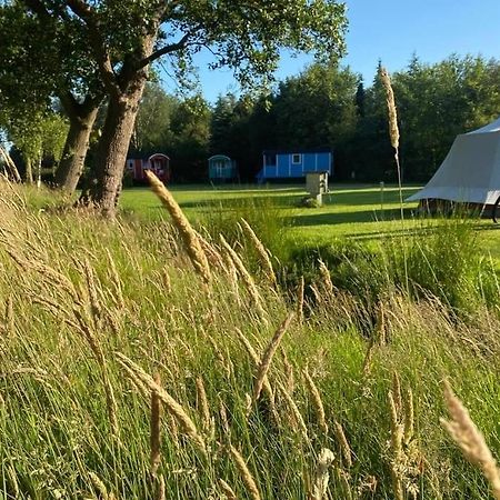 Pipowagens Bij Pannenkoekenrestaurant & Camping De Koppenjan 'Een Uniek Verblijf Met Kinderspeelboerderij' Jubbega-Schurega エクステリア 写真