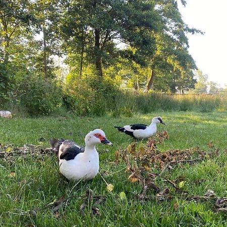 Pipowagens Bij Pannenkoekenrestaurant & Camping De Koppenjan 'Een Uniek Verblijf Met Kinderspeelboerderij' Jubbega-Schurega エクステリア 写真