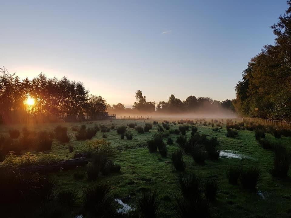 Pipowagens Bij Pannenkoekenrestaurant & Camping De Koppenjan 'Een Uniek Verblijf Met Kinderspeelboerderij' Jubbega-Schurega エクステリア 写真