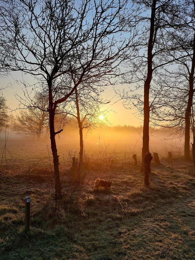 Pipowagens Bij Pannenkoekenrestaurant & Camping De Koppenjan 'Een Uniek Verblijf Met Kinderspeelboerderij' Jubbega-Schurega エクステリア 写真