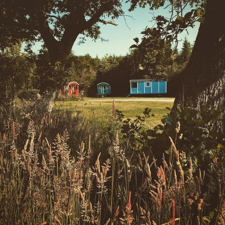 Pipowagens Bij Pannenkoekenrestaurant & Camping De Koppenjan 'Een Uniek Verblijf Met Kinderspeelboerderij' Jubbega-Schurega エクステリア 写真