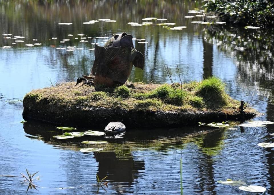 Pipowagens Bij Pannenkoekenrestaurant & Camping De Koppenjan 'Een Uniek Verblijf Met Kinderspeelboerderij' Jubbega-Schurega エクステリア 写真