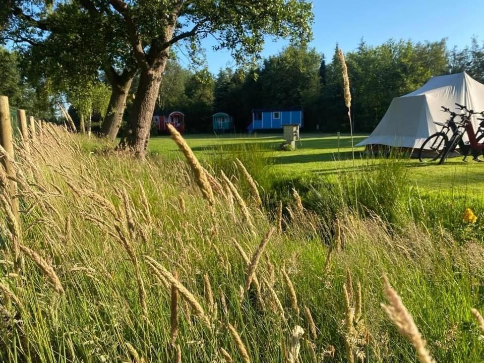 Pipowagens Bij Pannenkoekenrestaurant & Camping De Koppenjan 'Een Uniek Verblijf Met Kinderspeelboerderij' Jubbega-Schurega エクステリア 写真